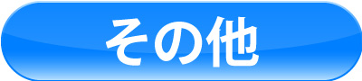 その他 ベース