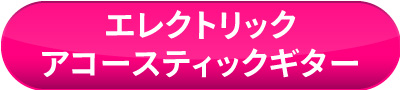 エレクトリック・アコースティックギター